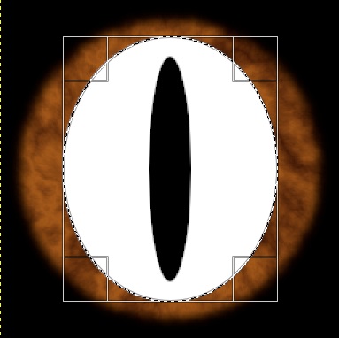 15 15ReptileEyeTutIrisHighlight