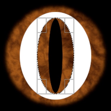 16 16ReptileEyeTutIrisHighligtDelete