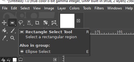 2 2ReptileEyeTutRecEllip